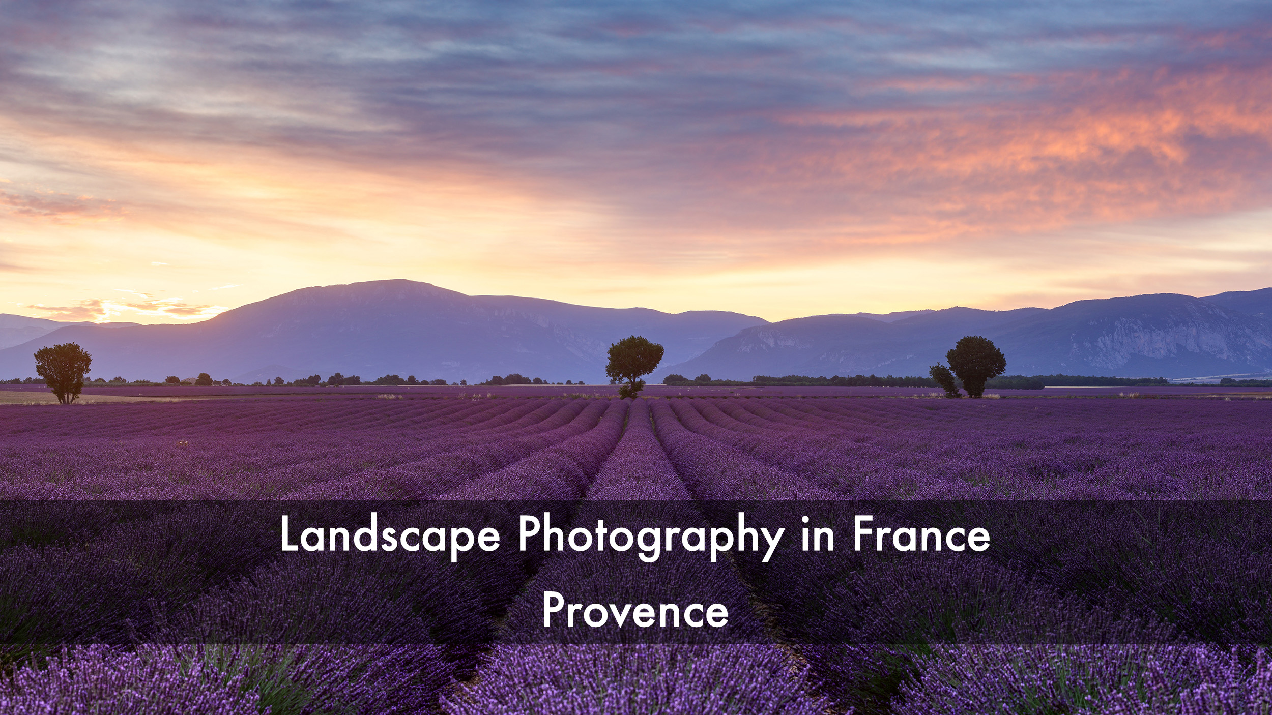 Provence. Landscape photography in France. Lavender fields.