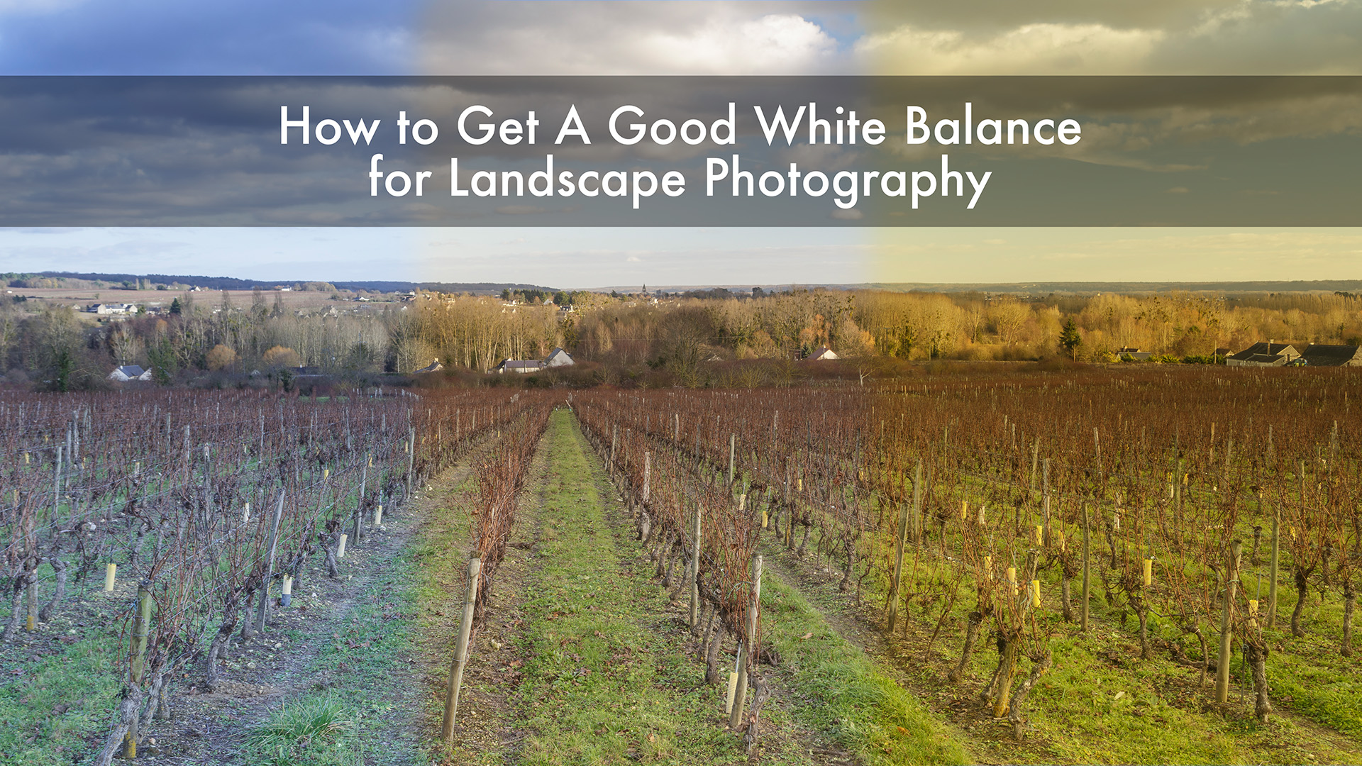 How to get a good white balance for landscape photography. Adobe Lightroom tutorial.