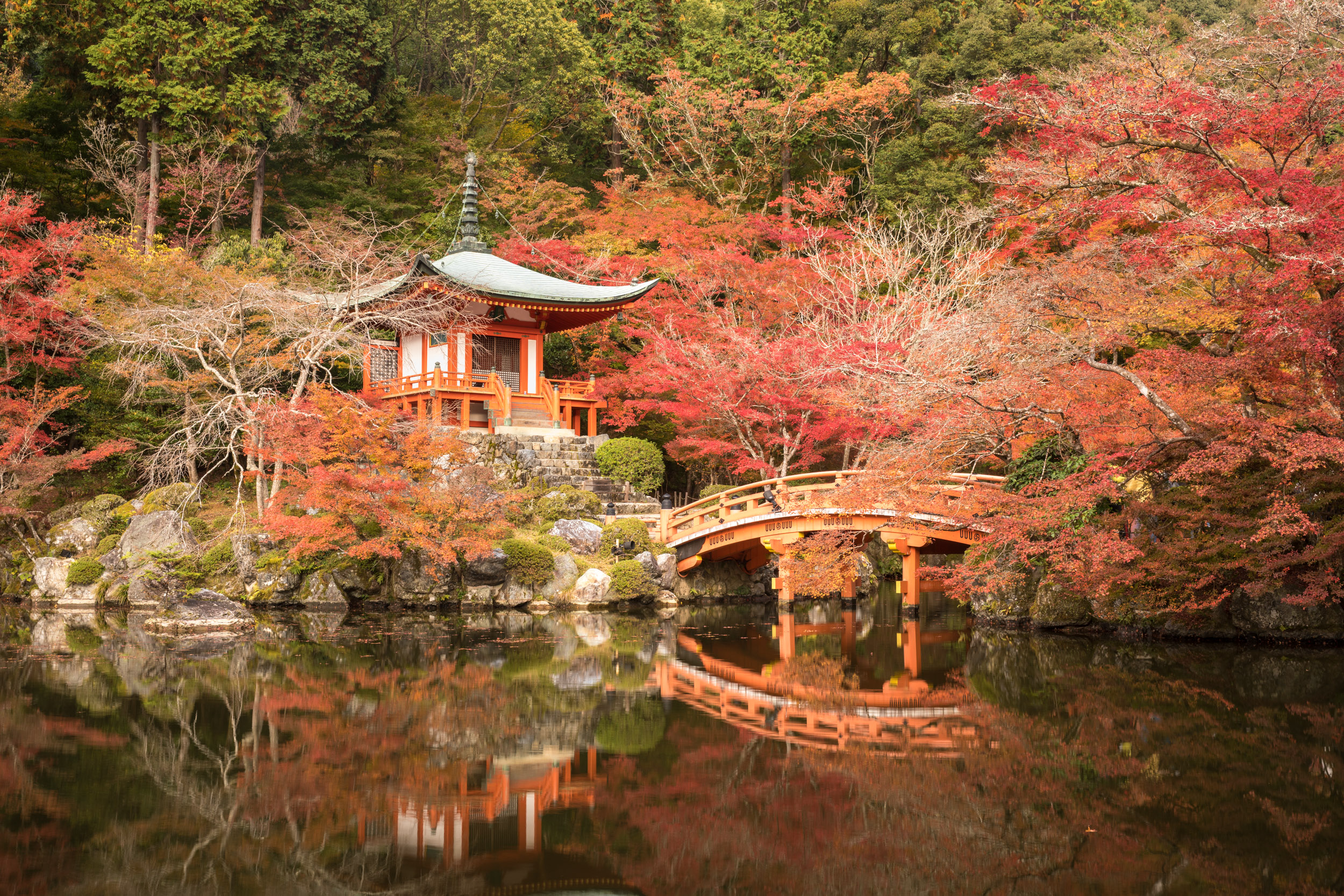 Autumn color in Daigo-ji temple Kyoto, Japan. Photography tour of Japan