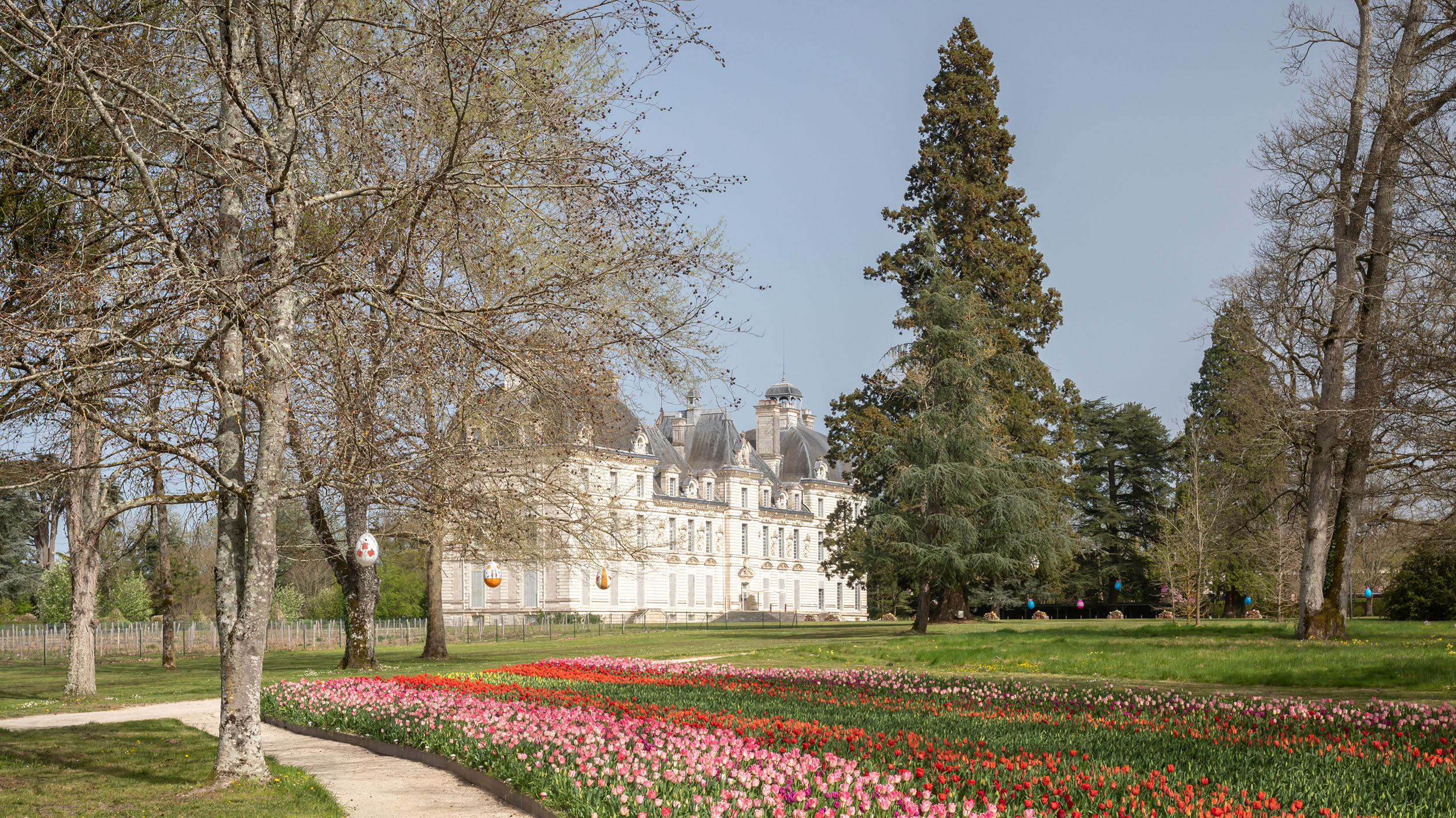 How I photographed Chateau de Cheverny. Loire Valley landscape photography in France.