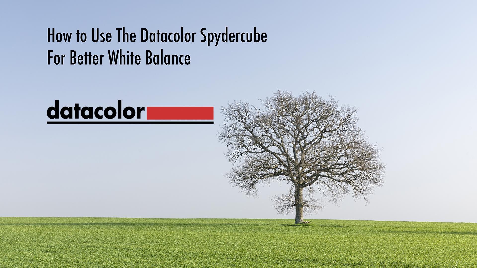 How to use the datacolor spydercube for better white balance