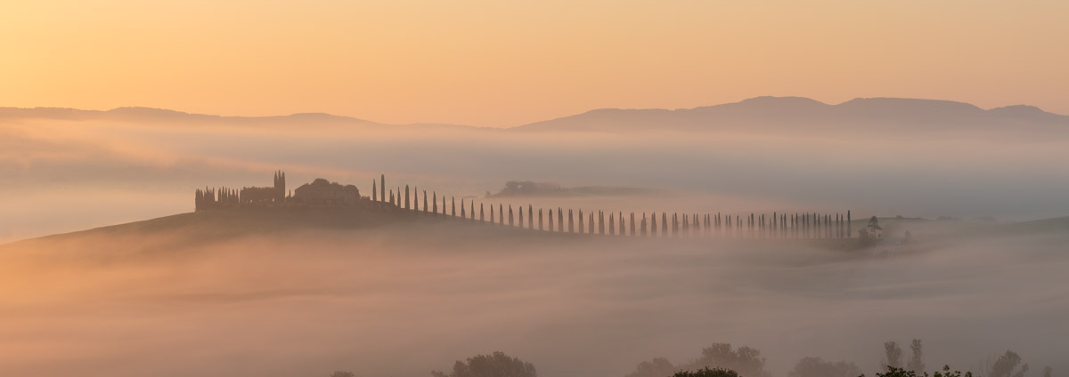 Panorama of a cypress tree lined house and road covered in mist on the Val d'Orcia, Tuscany, Italy.