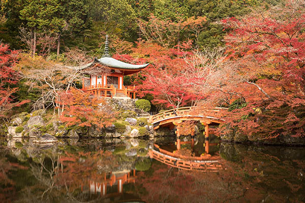 Autumn color in Daigo-ji temple Kyoto, Japan. Founded in the early Heian period, Daigo-ji temple was founded by Rigen-daishi. It has been designated a World Heritage Site by UNESCO as well as being part of the National Treasures of Japan.