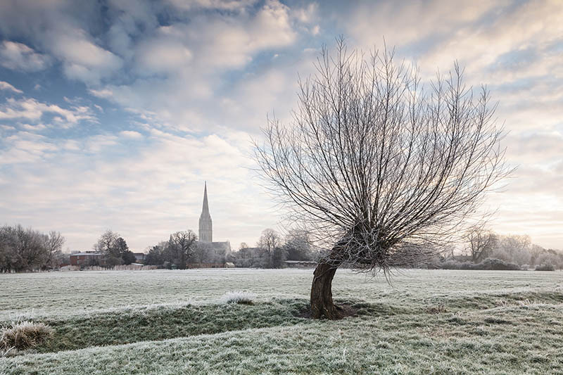 Salisbury cathedral during a frosty dawn in Salisbury, Wiltshire.