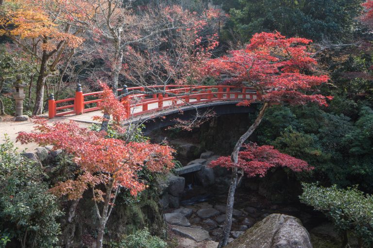 Miyajima in autumn, Japan.