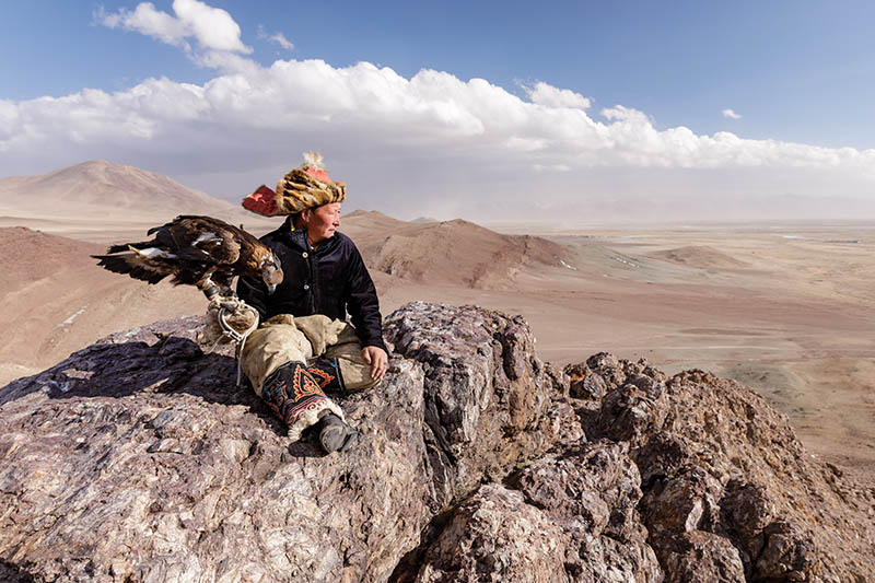 A Kazak Mongolian eagle hunter and his eagle in the Altai near to Bayan Olgii, Mongolia.