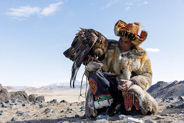 A Kazak Mongolian eagle hunter and his eagle in the Altai near to Bayan Olgii, Mongolia.