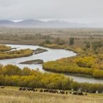 Onon-Balj National Park in Mongolia.