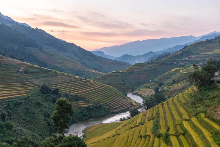 Rice terraces in Mu Cang Chai, Vietnam.