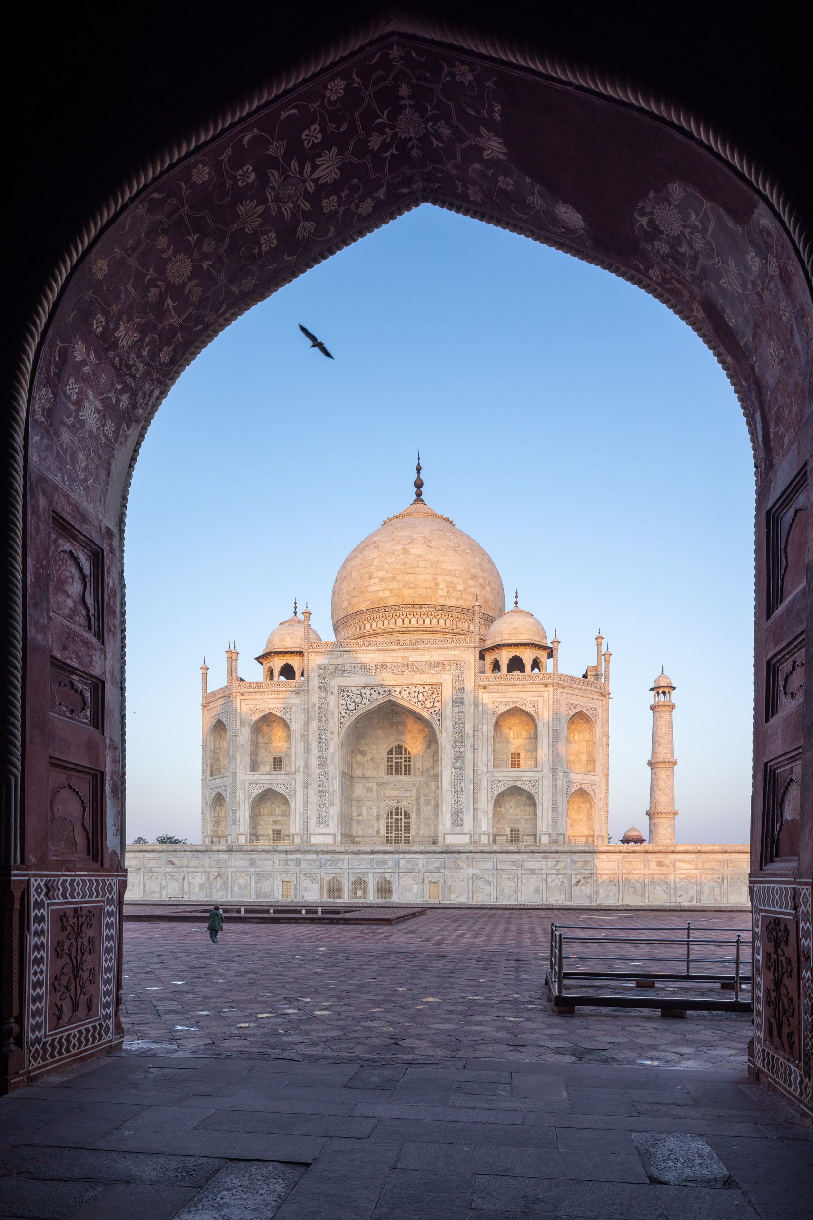 A bird flies over the Taj Mahal in Agra, India.