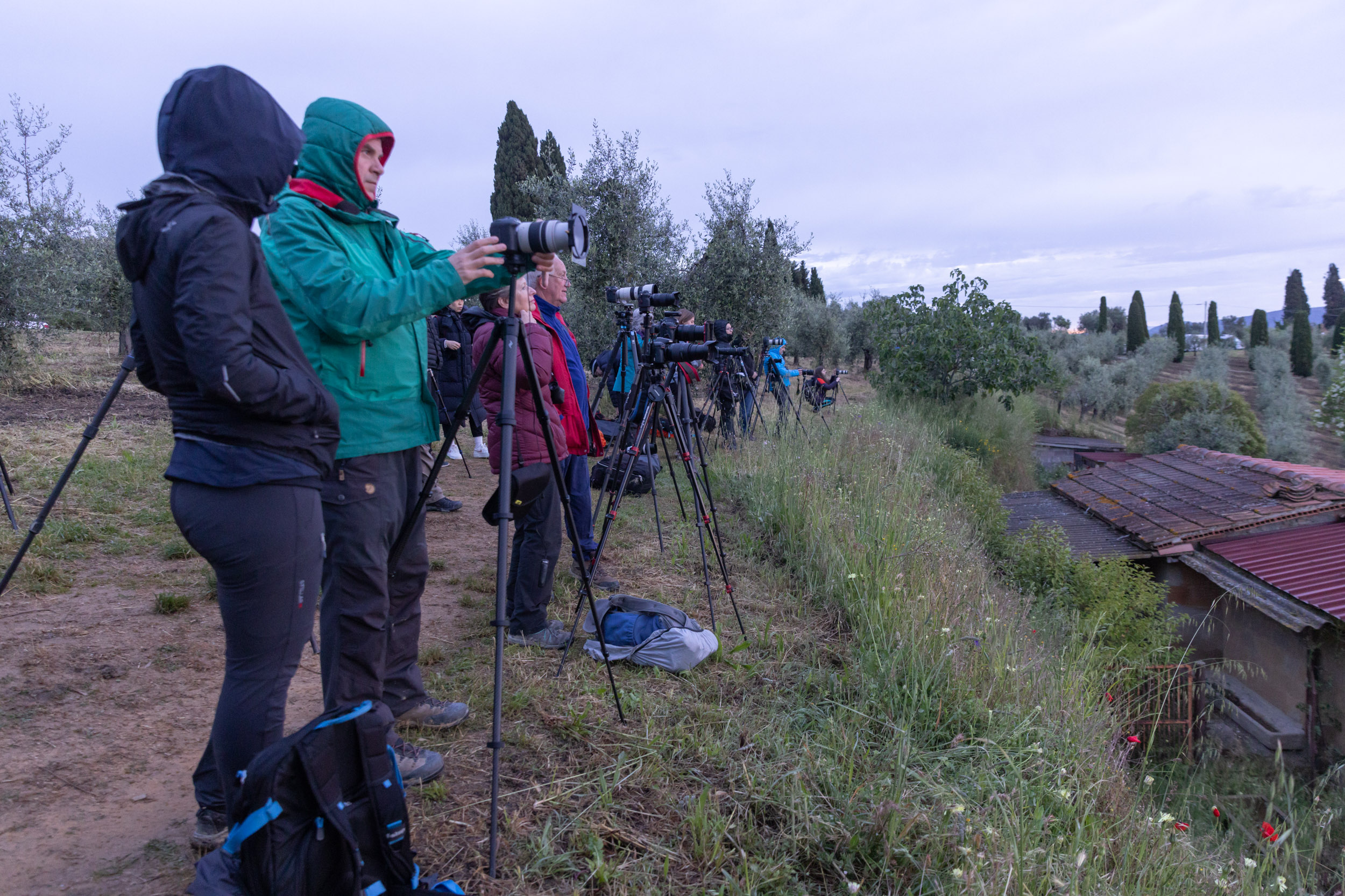 Crowds of photographers overlooking the Val d'Orcia, Tuscany, Italy.