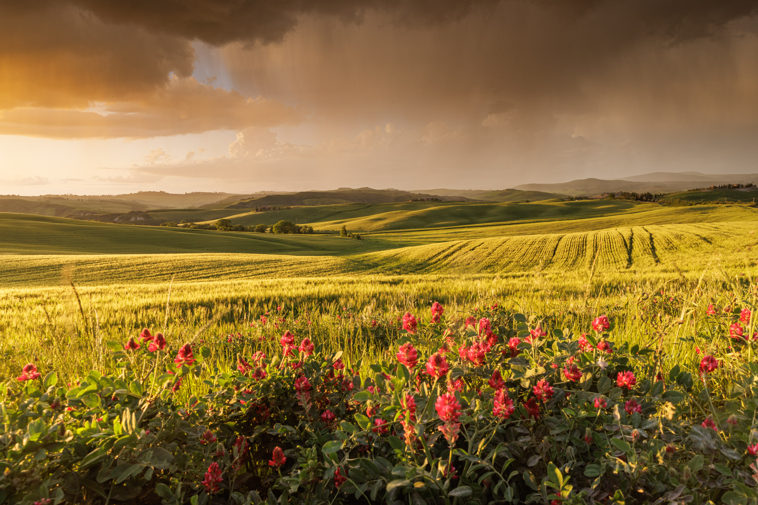 Storm clouds and evening light over the Val d'Orcia in Tuscany, Italy.