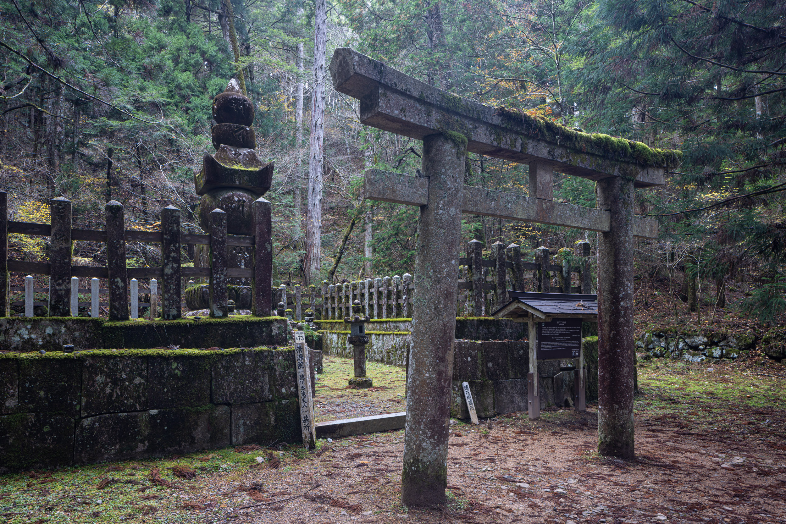 An ancient torii gate and moss covered tombstones in Okunoin cemetary, Japan.