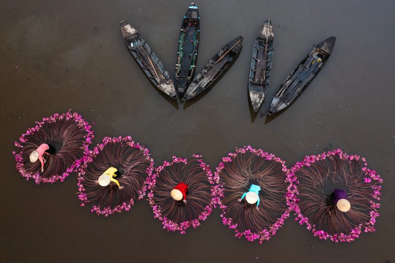 Women washing water lillies in Long An, Mekong Delta, Vietnam.