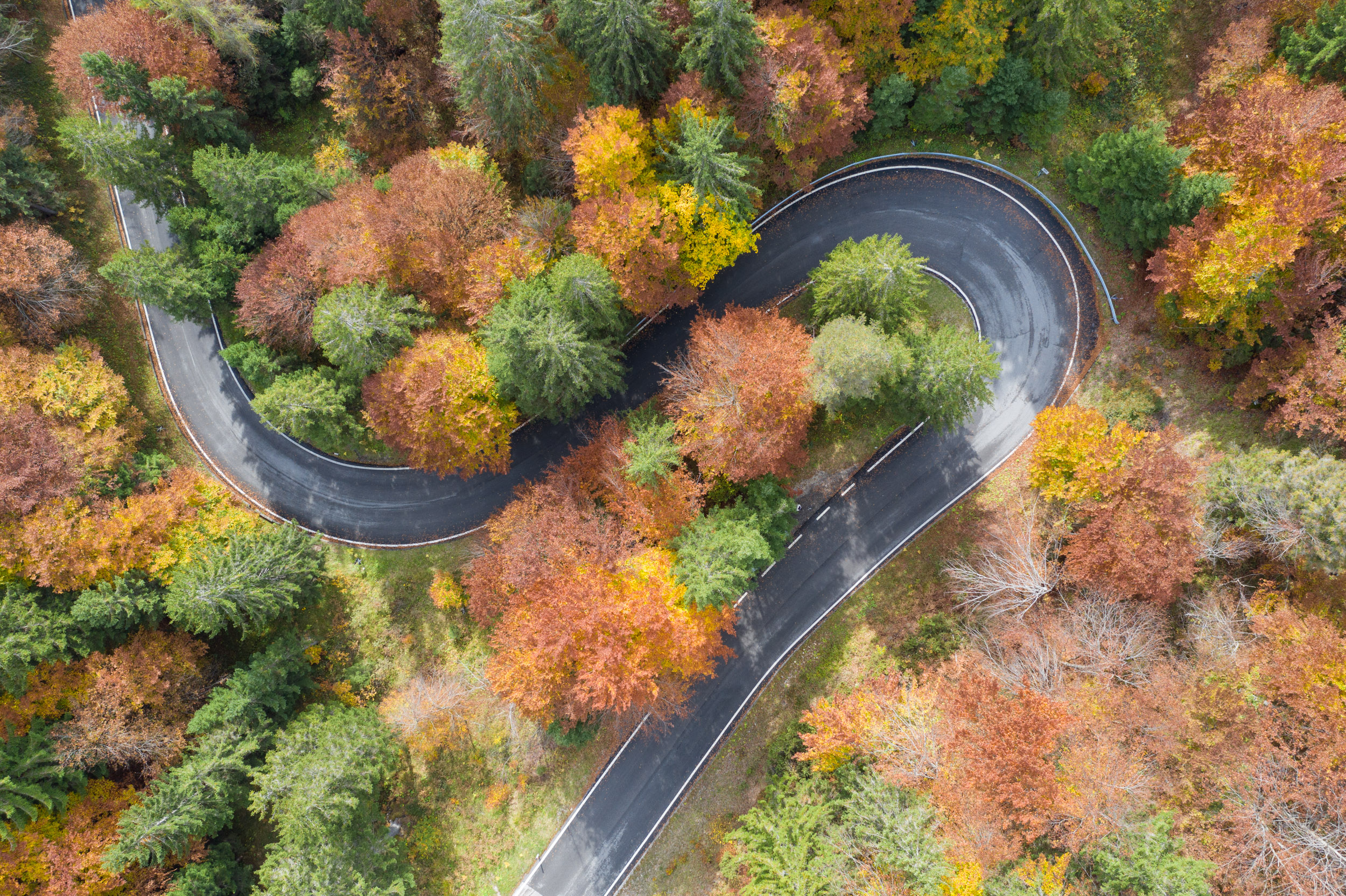 Autumn colour on a mountain pass in the Italian Dolomites, Italy.