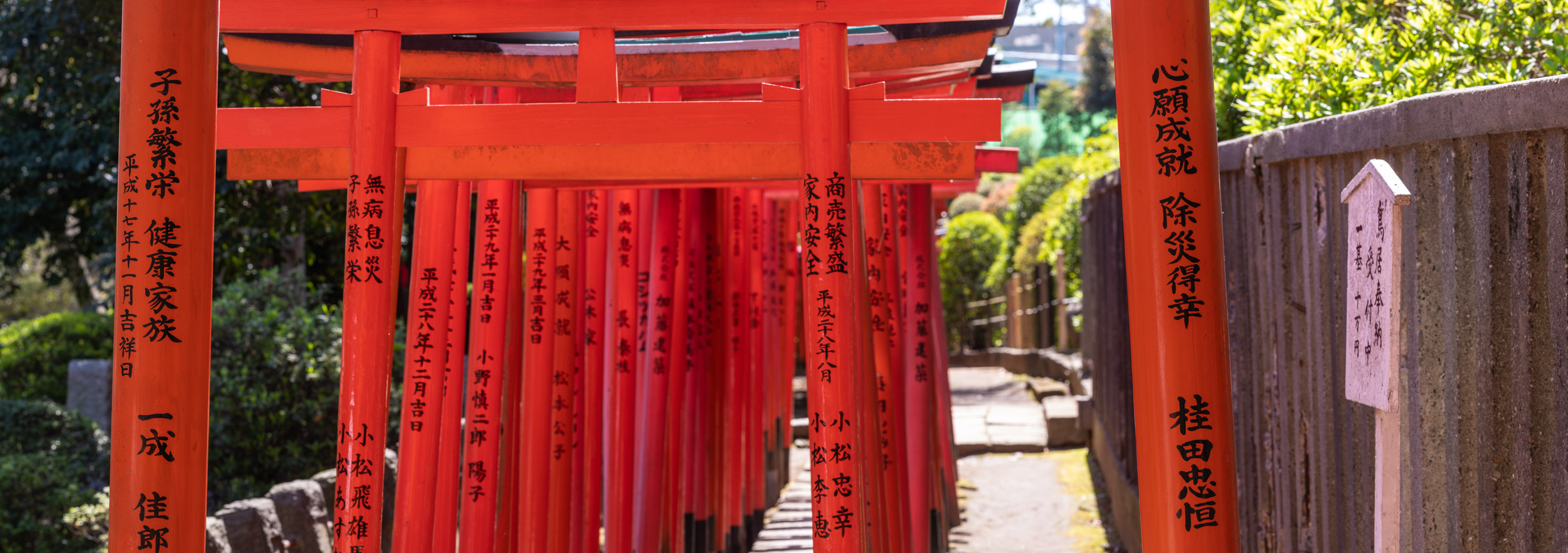 Panorama of torii gates at Nezu Shrine in Bunkyo ward, Tokyo, Japan.