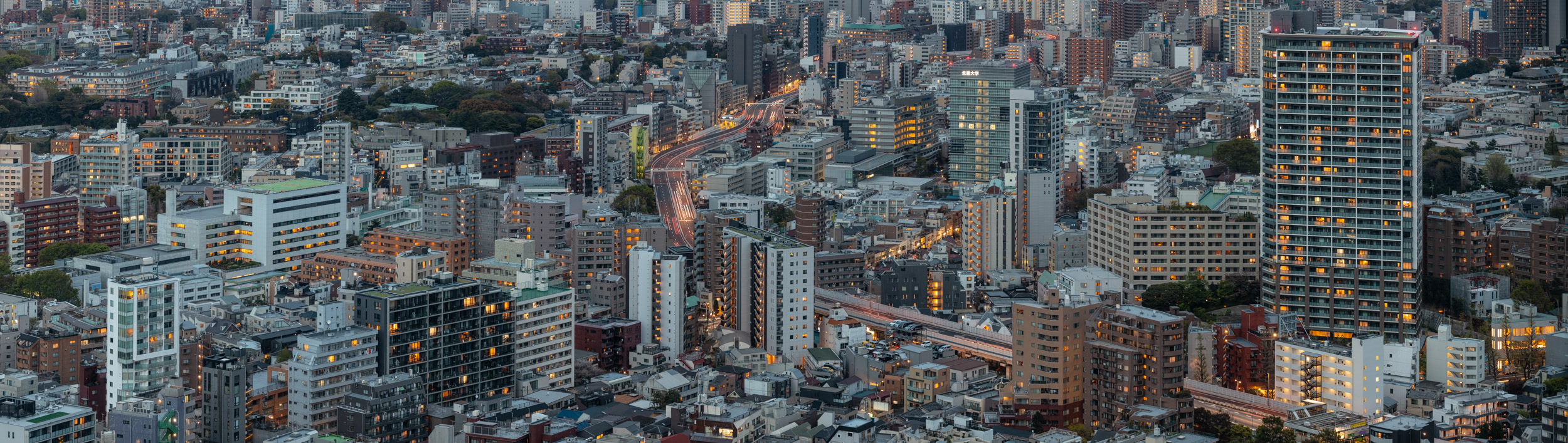 Panorama aerial of the skyscrapers and crowded cityscape of central Tokyo, Japan's capital city.