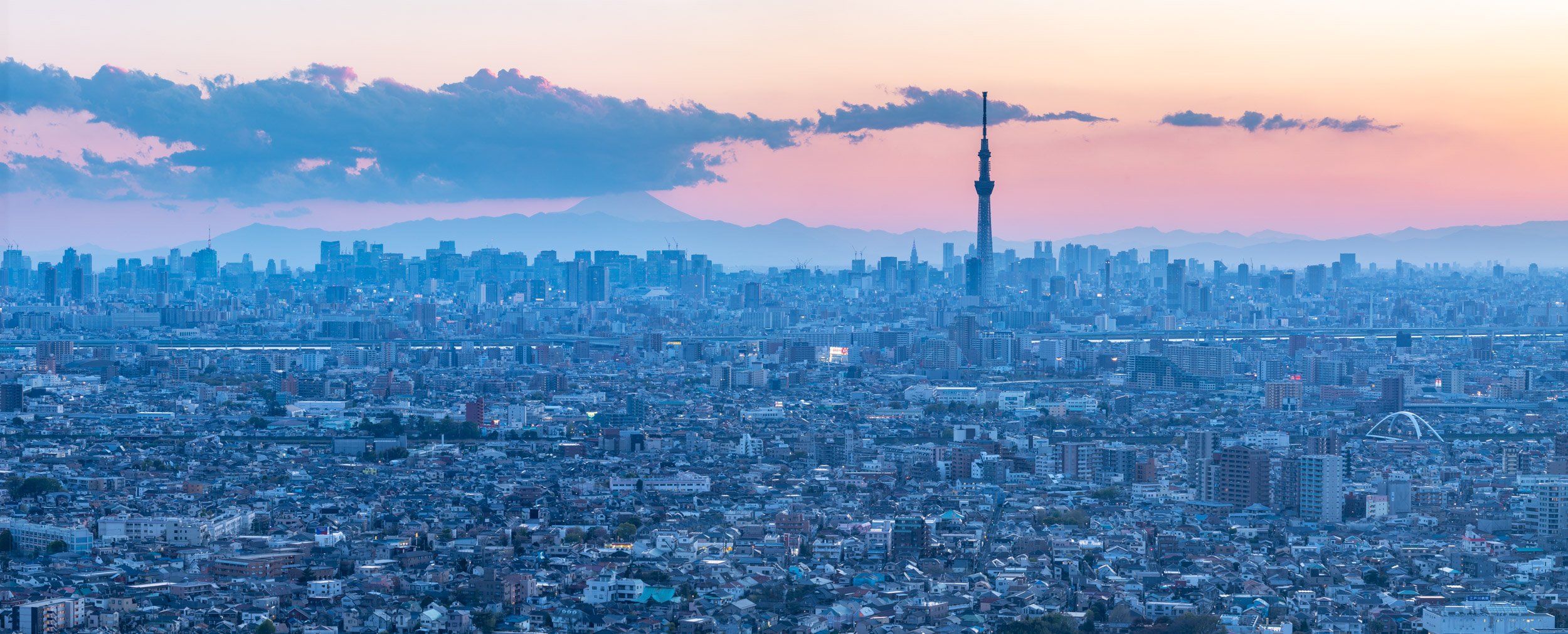 Panorama aerial of Tokyo Skytree overlooking the crowded cityscape, Japan.