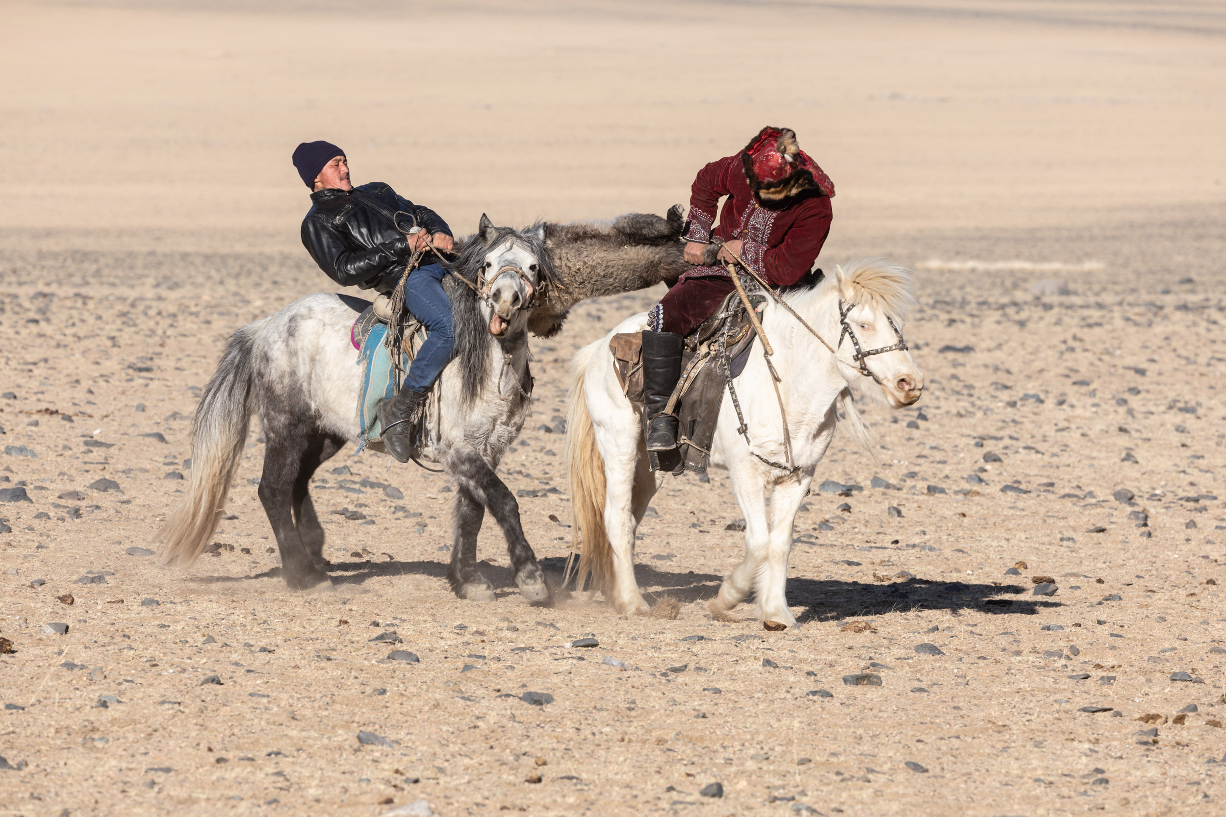 Two Kazakh Mongolian men play the game of Kokpar.