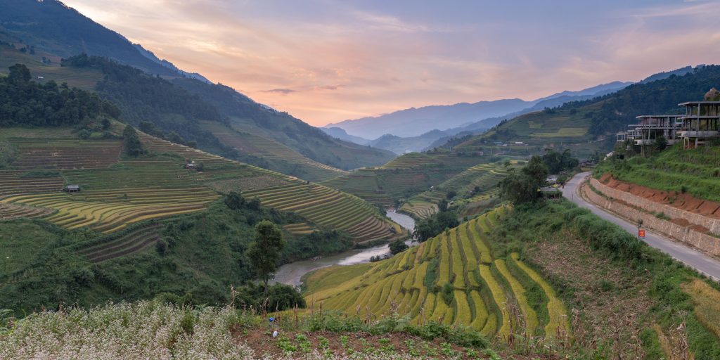Panorama of the rice terraces in Mu Cang Chai, Vietnam.