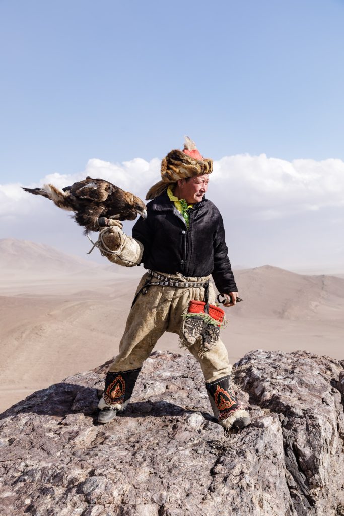 A Kazak Mongolian eagle hunter and his eagle in the Altai near to Bayan Olgii, Mongolia.