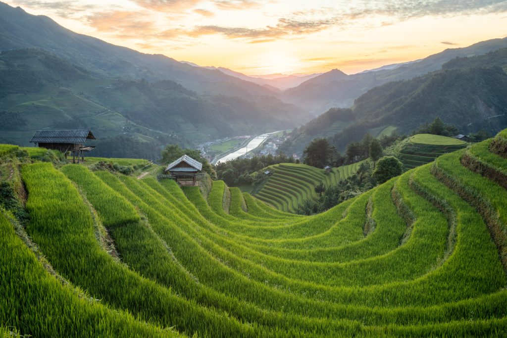 Sunset across the stunning rice terraces of Mu Cang Chai in Yen Bai province. Taken during Vietnam photo tour in September.