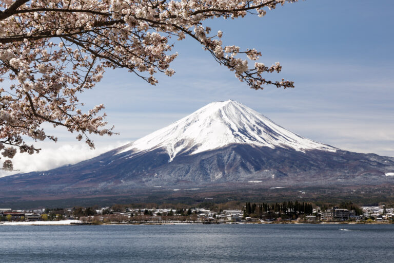 Cherry blossoms and Mount Fuji. Taken on the Japan cherry blossom photo tour in April.