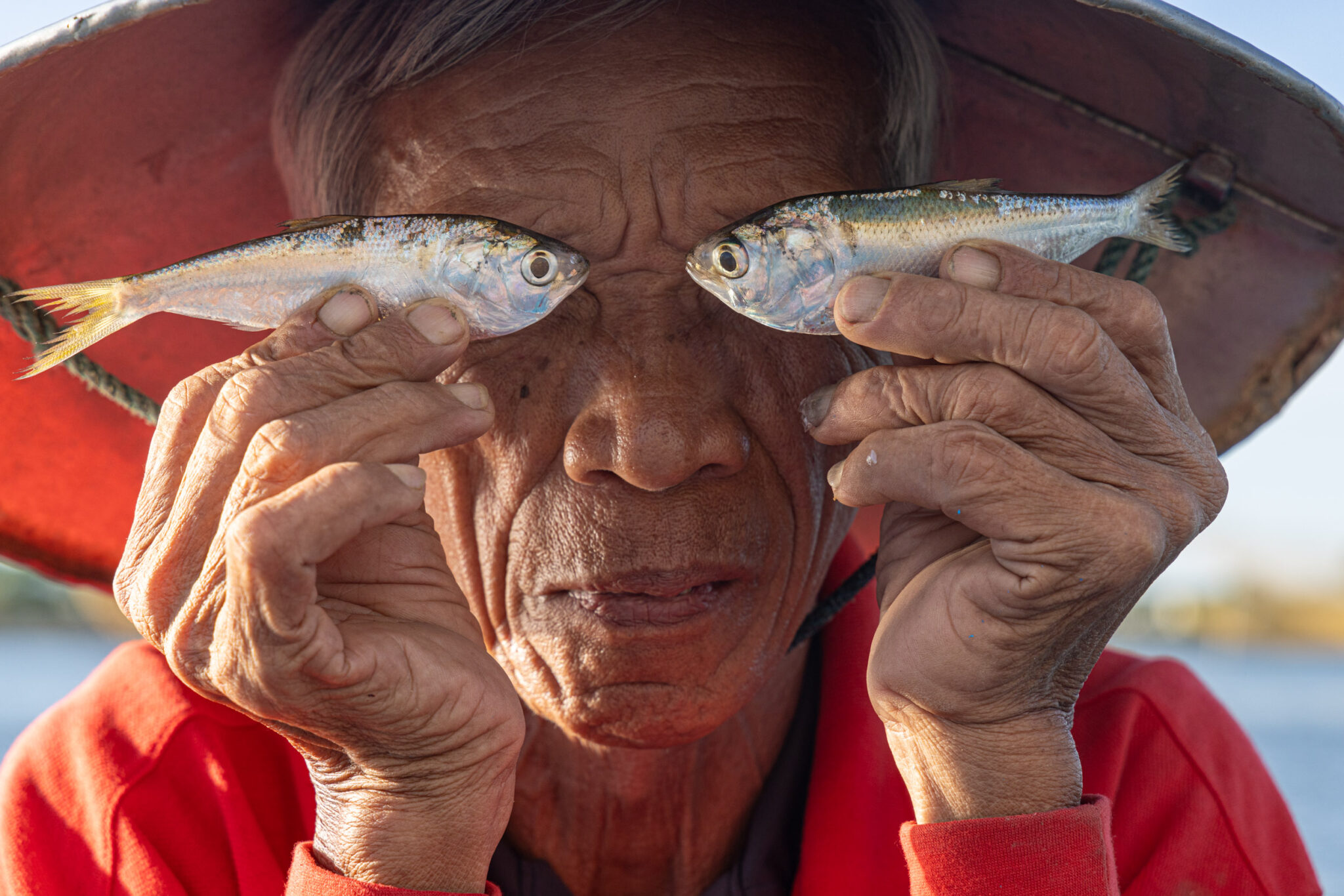 Elliot Fish Fish Eyes - The tail of an award winning photograph