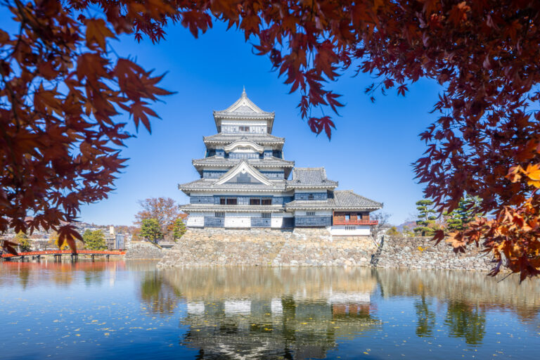 Autumn fall colours around the stunning Matsumoto castle. Taken during the Japan autumn photography tour in November.
