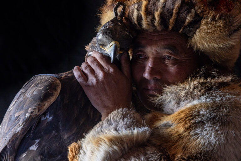 A Kazakh Mongolian eagle hunter and his golden eagle. Taken on the Mongolia Photo Tour & Golden Eagle Festival.