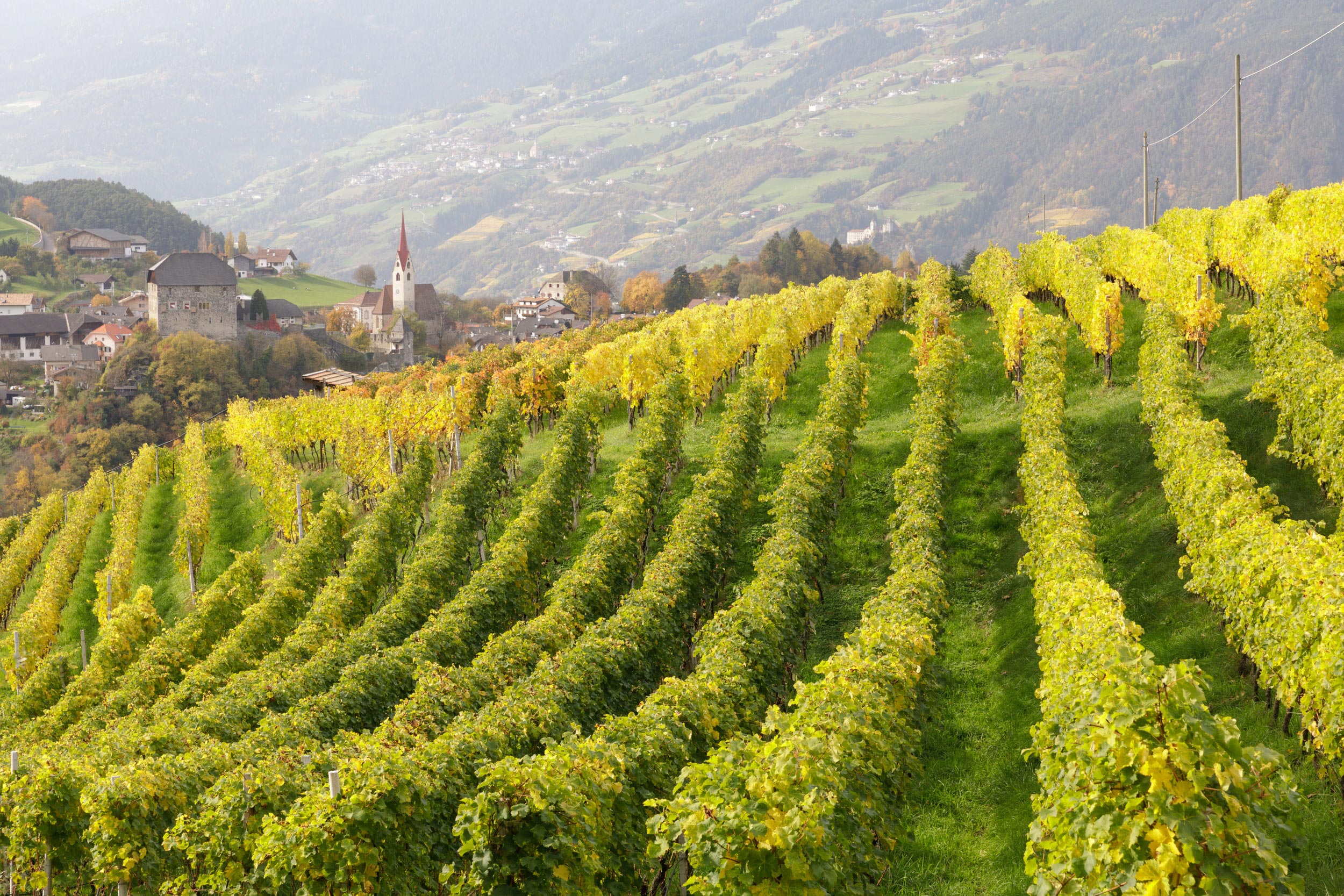 Autumn colour amongst the vineyards of the Valle Isarco near to Nafen. Taken on the Dolomites photography tour in autumn.