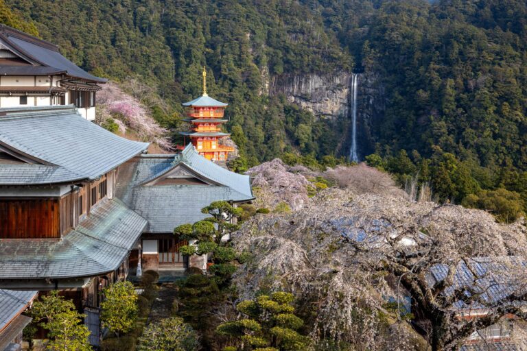The beautiful Nachi Falls and Seiganto-ji temple in Wakayama. Taken during the Japan Cherry Blossom Photo Tour in April.