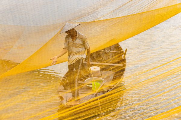 A fisherman at work during sunrise in the Thu Bon river near to Hoi An, Quang Nam. Photos of Central Vietnam gallery. Print by Julian Elliott Photography.