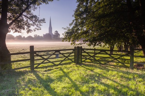 Salisbury cathedral and the West Harnham water meadows in England, UK. Print by Julian Elliott Photography.